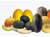 importancia fruta embarazo