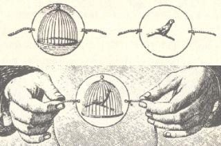 Libertad enjaulada, Jaqueline M.Q. [Minirreseña]