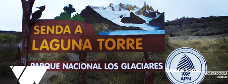 Trekking Laguna Torre