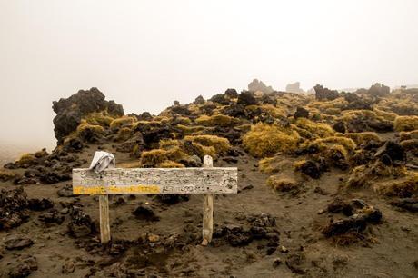 La niebla YA está aquí, Tongariro Alpine Crossing La niebla YA está aquí, Tongariro Alpine Crossing
