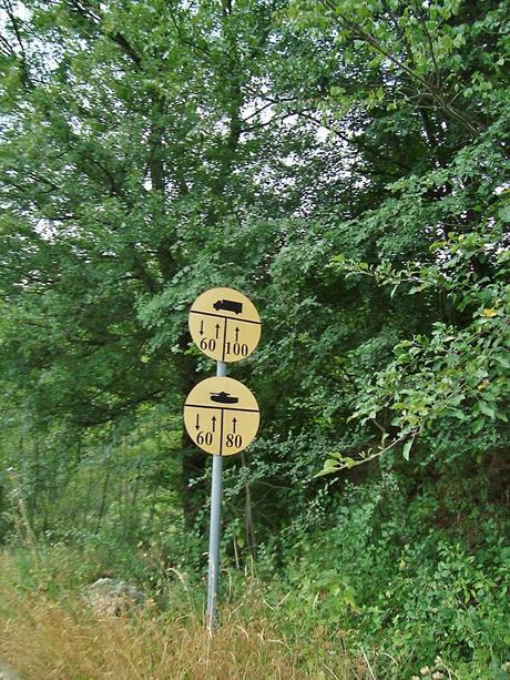 Ojo no te multen por ir rápido con tu tanque!