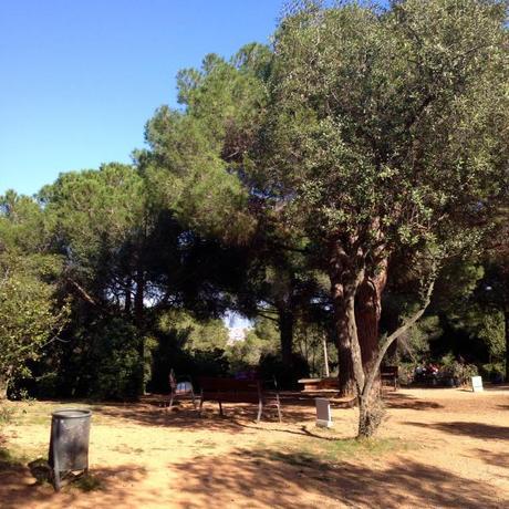 El parc de l'oreneta barcelona