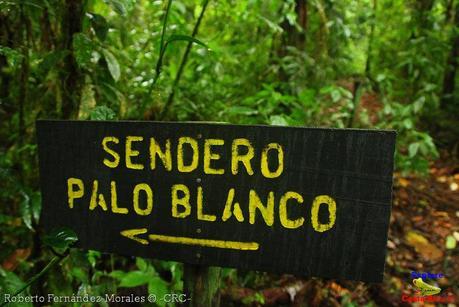 Refugio de Vida Silvestre La Marta -Senderos- (Pejibaye de Jiménez de Cartago)