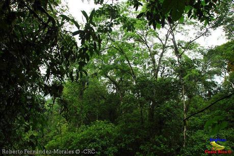 Refugio de Vida Silvestre La Marta -Senderos- (Pejibaye de Jiménez de Cartago)