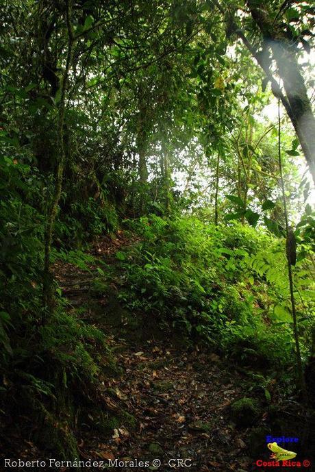 Refugio de Vida Silvestre La Marta -Senderos- (Pejibaye de Jiménez de Cartago) Refugio de Vida Silvestre La Marta -Senderos- (Pejibaye de Jiménez de Cartago)