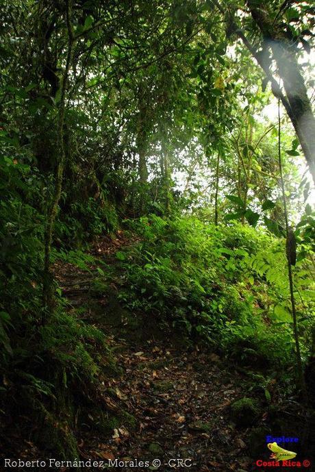 Refugio de Vida Silvestre La Marta -Senderos- (Pejibaye de Jiménez de Cartago)