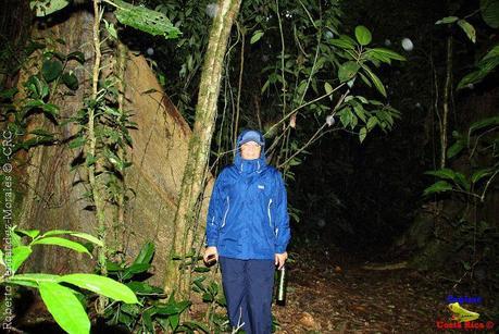 Refugio de Vida Silvestre La Marta -Senderos- (Pejibaye de Jiménez de Cartago)