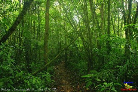 Refugio de Vida Silvestre La Marta -Senderos- (Pejibaye de Jiménez de Cartago) Refugio de Vida Silvestre La Marta -Senderos- (Pejibaye de Jiménez de Cartago)