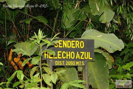 Refugio de Vida Silvestre La Marta -Senderos- (Pejibaye de Jiménez de Cartago)