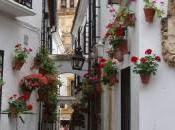 Calleja Flores