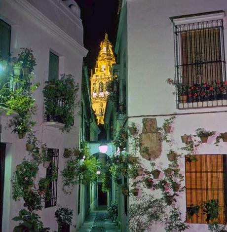 Calleja de las Flores
