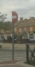 Yo no quiero vivir a medias.