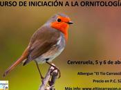 Curso iniciación ornitología