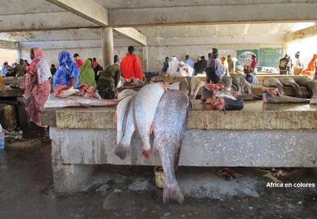 273. Desde Mauritania