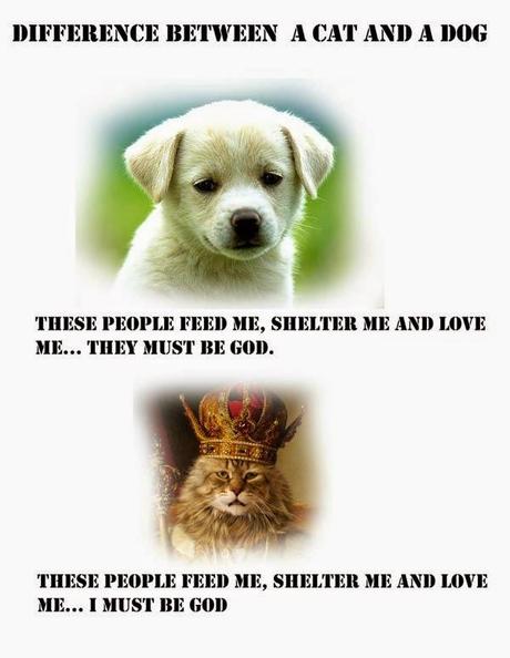 Psicología felina (volumen I)