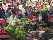 alimentación Europa central revisión