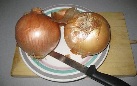 ¿Qué tiene la cebolla?