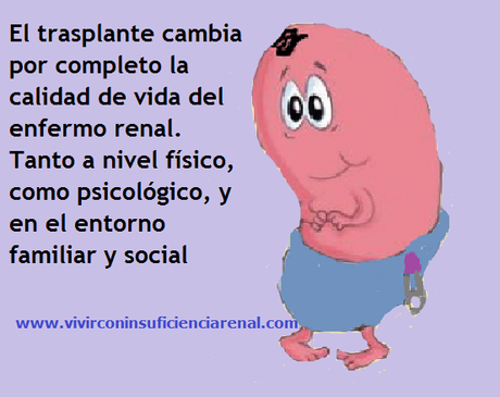 Me acaban de trasplantar... ¿Y ahora qué?