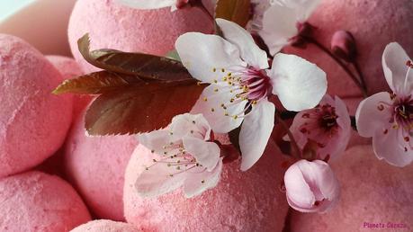 Recetas redondas de color cereza (XIII) : Trufas de chocolate blanco rosas