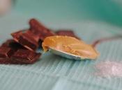 Homemade peanut butter cups