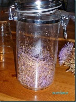 cardo cuajo vegetal3 copia