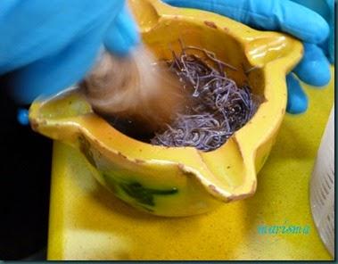 queso desnatado,cuajo vegetal copia