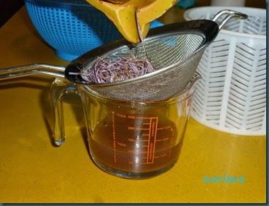 queso desnatado,cuajo vegetal2 copia