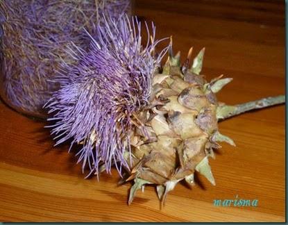 cardo cuajo vegetal1 copia