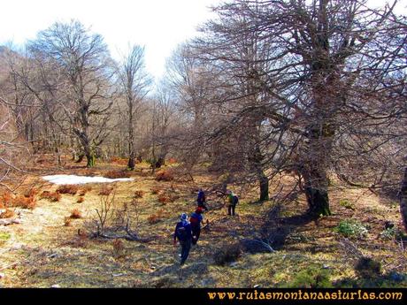 Ruta Requexón Valdunes, la Senda: Bajando de la Senda, cruzando bosque