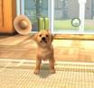 PlayStation Vita Pets ya tiene fecha de lanzamiento