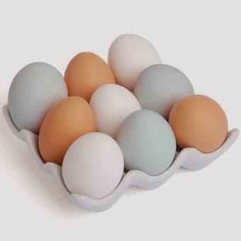 Todo lo que tienes que saber de los huevos