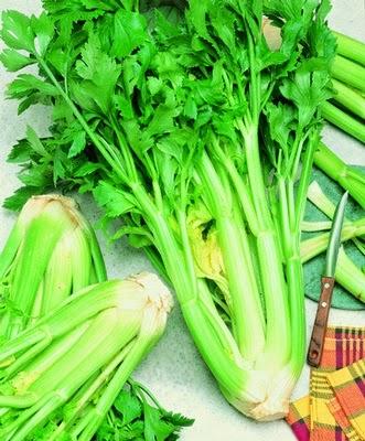 PROPIEDADES Y BENEFICIOS DEL APIO