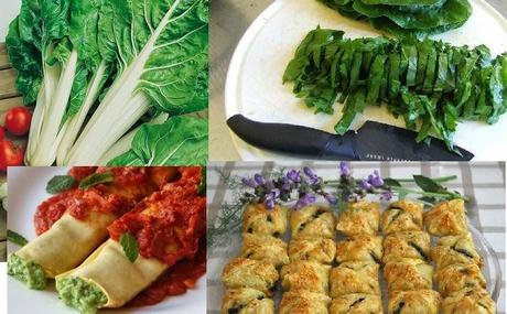 PRINCIPALES PROPIEDADES DE LA ACELGA