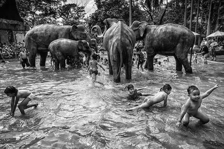 Sony World Photography Awards 2014