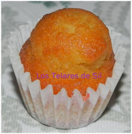 MAGDALENAS CASERAS XAVIER BARRIGA