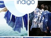 Color indigo decoración