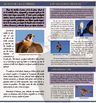 EN IMPRENTA: Halcones ibéricos