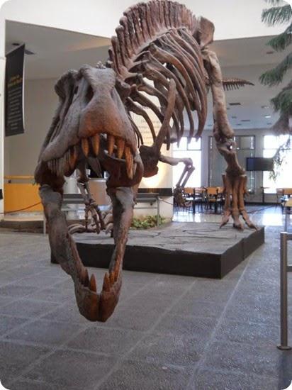 Museos argentinos al rescate de la memoria y la cultura