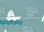 Somos Agua #Infografía #Vida #Salud