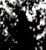 somos iguales y yo soy la bestia, sonetos