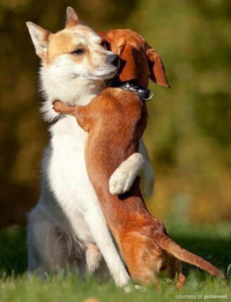 Aclaraciones sobre este Sistema Piramidal