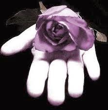 Aclaraciones sobre este Sistema Piramidal