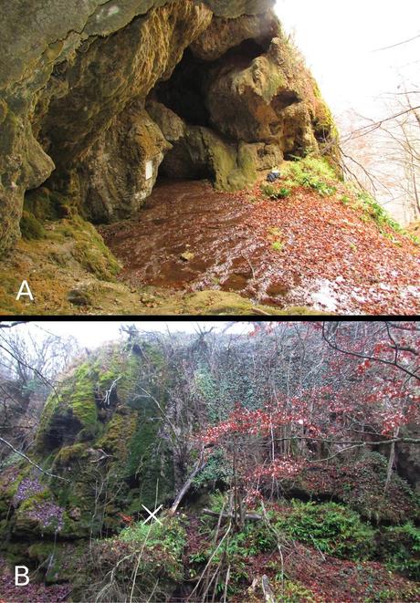 Nuevo gasterópodo encontrado en cuevas de Bulgaria