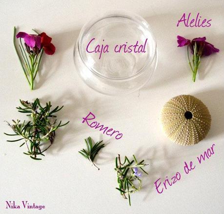 Diy... en una caja de cristal