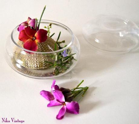 Diy... en una caja de cristal