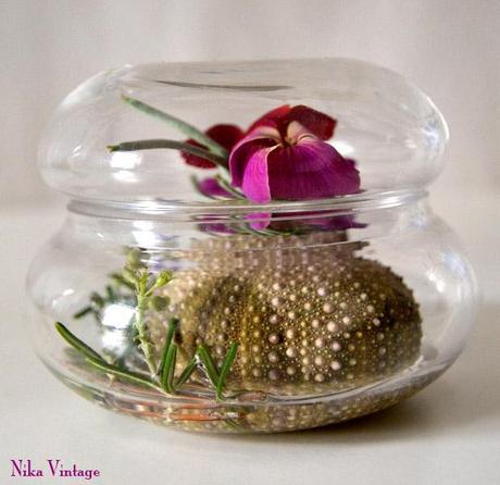 Diy... en una caja de cristal