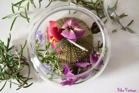 Diy... en una caja de cristal