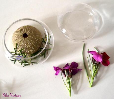 Diy... en una caja de cristal