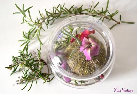 Diy... en una caja de cristal