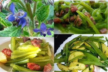 LA BORRAJA CURA Y PREVIENE ENFERMEDADES